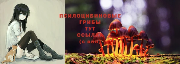 твердый Корсаков