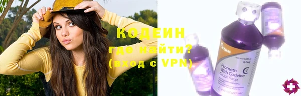 твердый Корсаков