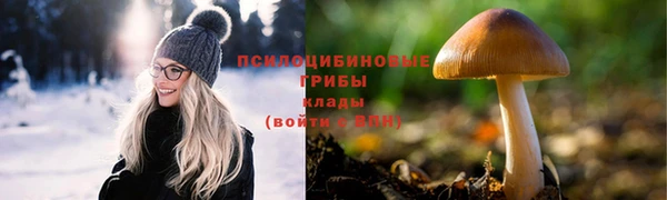 мяу мяу кристалл Костерёво