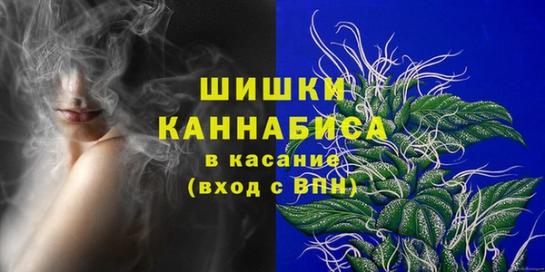 стафф Коряжма