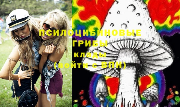 стафф Коряжма
