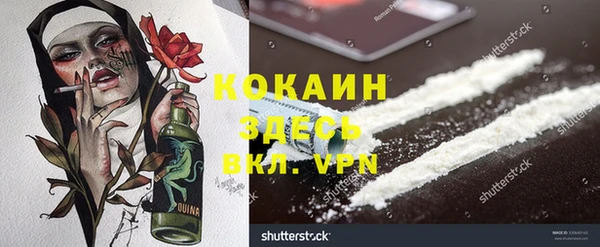 стафф Коряжма