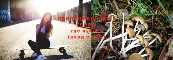 твердый Корсаков