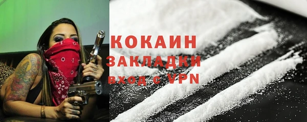 стафф Коряжма