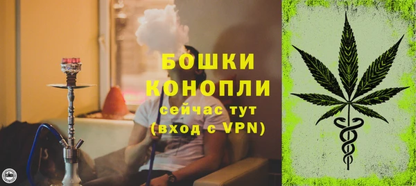 твердый Корсаков