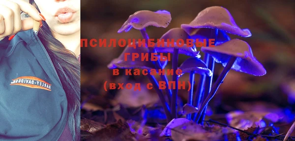 стафф Коряжма
