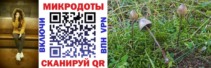 Купить  Боготол  Псилоцибиновые грибы прущие грибы 